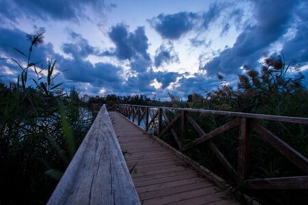 Bless you relaxation wetland photo