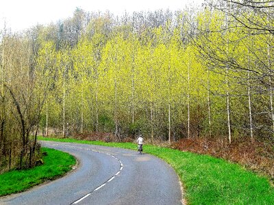 Road sports cyclist