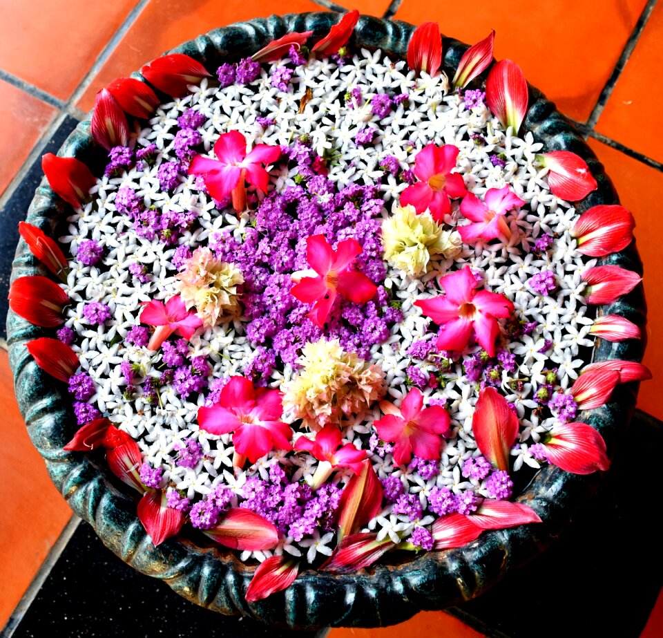 Celebration indian traditional