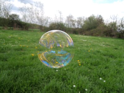 Grass meadow land