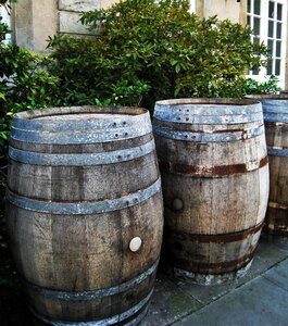 Rustic barrel gastronomy photo