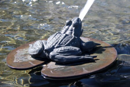 Water fountain animal