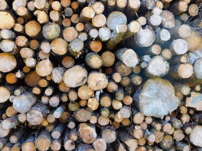 Wood industry timber