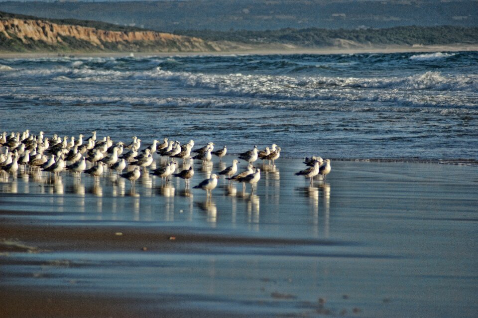 Mar water nature