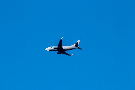 Large in the air boeing 737-800 photo