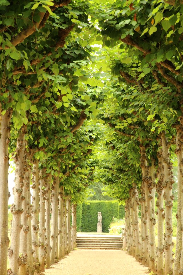 Historic gardens