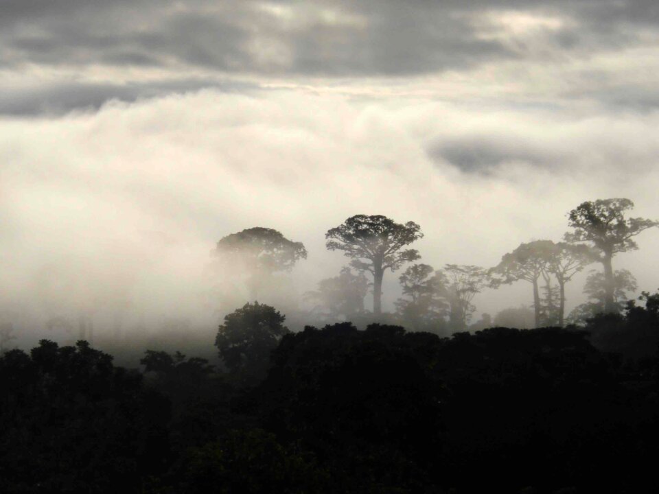 Colombia landscape