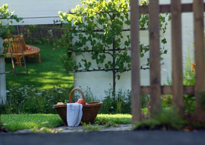 Grass fence recreation