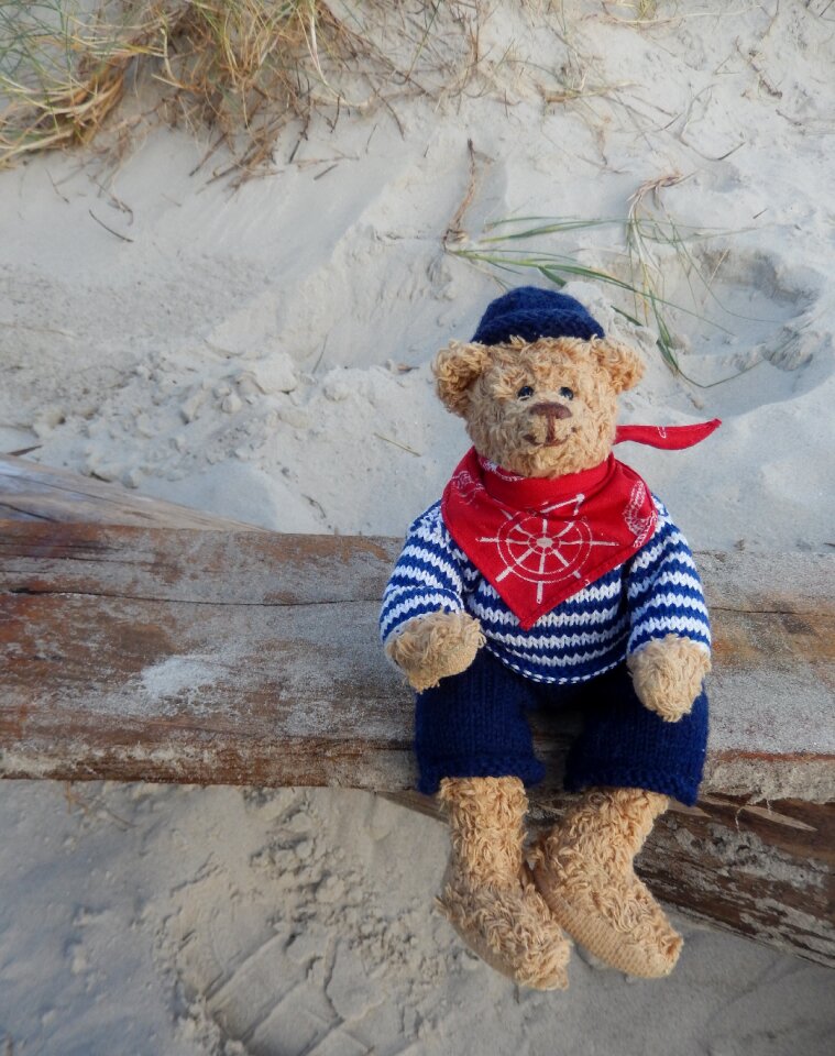Stuffed animal plush play