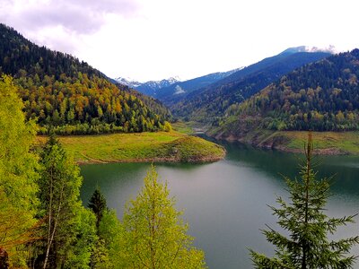 Lake forest landscape