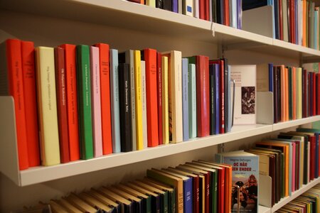 Books bookshelf library photo