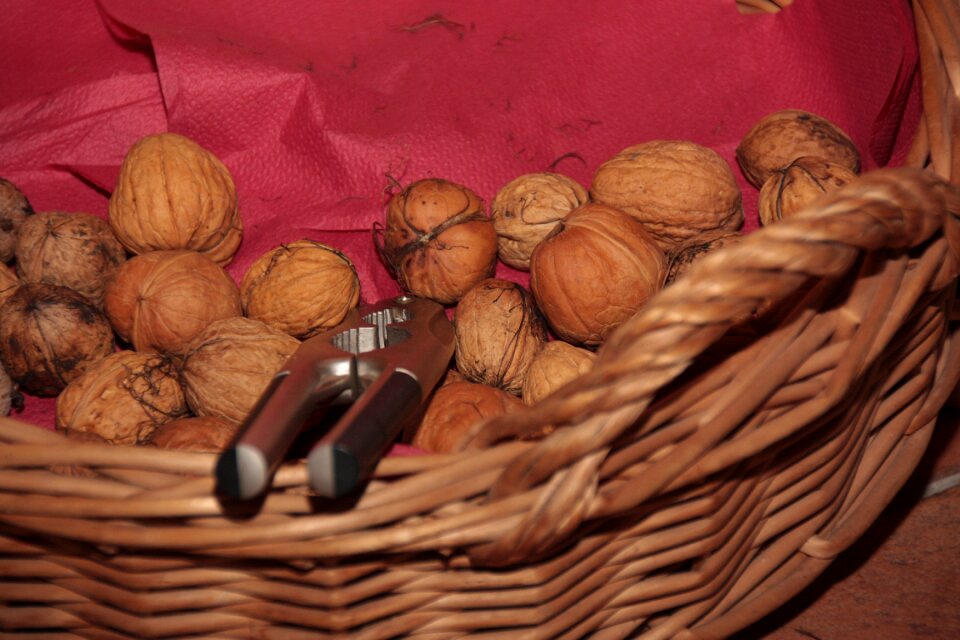 Nutcracker autumn snack