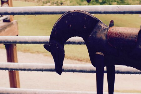 Rustic horse metal