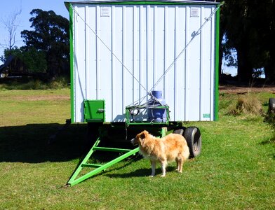 Box rural tool guard dog