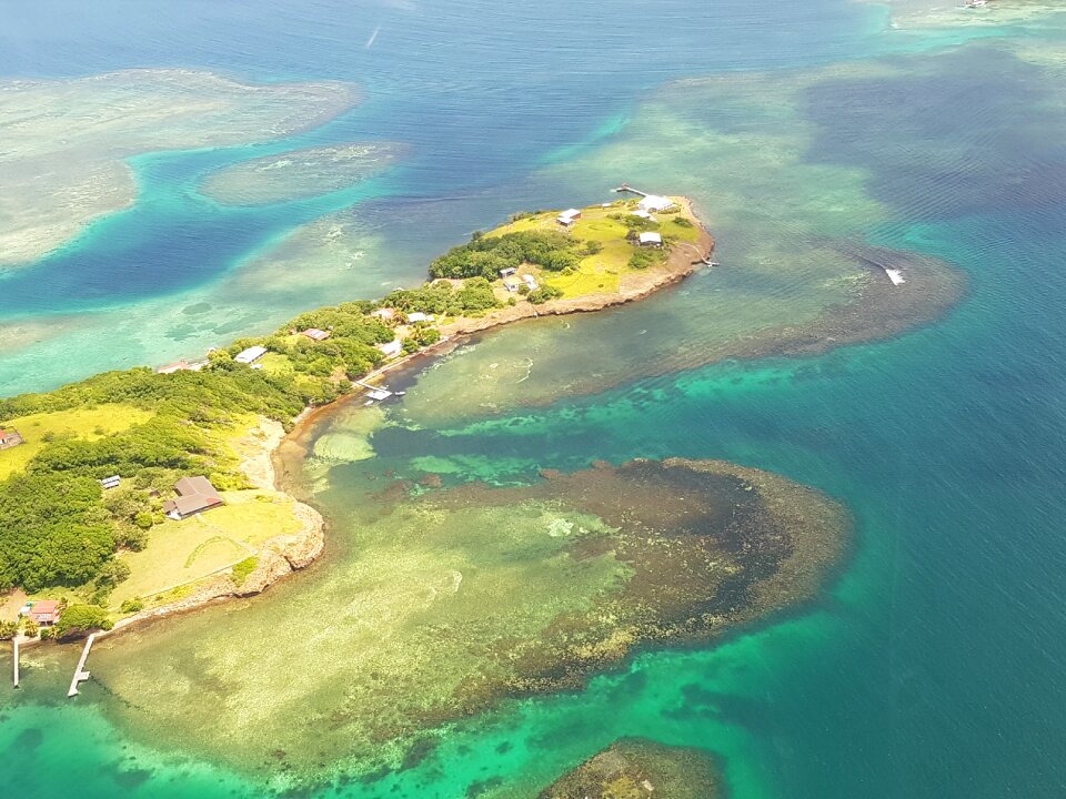 Blue coral lagoon