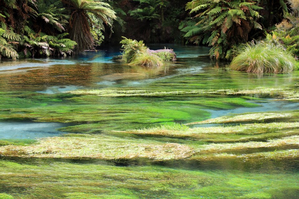 Blue natural spring