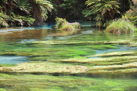 Blue natural spring