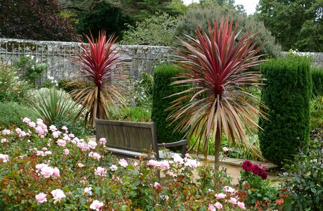 Jersey sark park