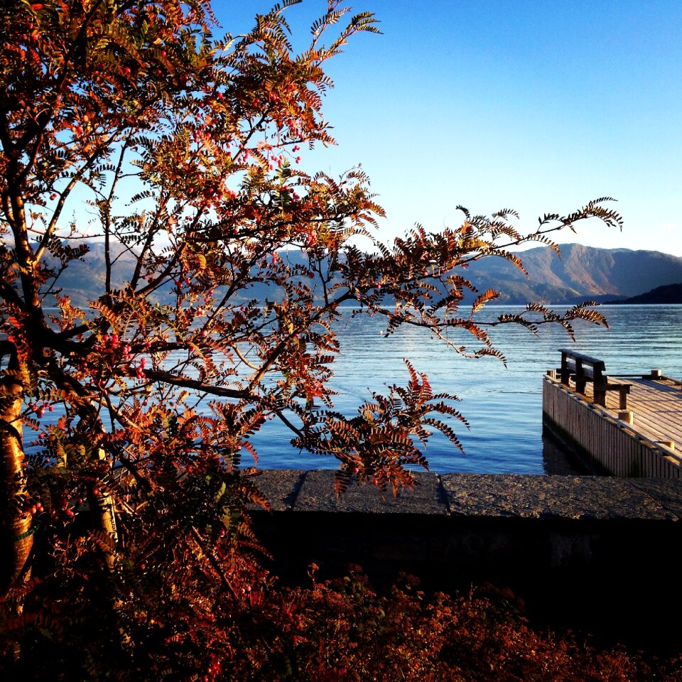 Lake landscap brew