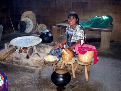 Cooking stove food