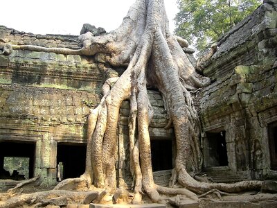 Angkor wat cambodia decline