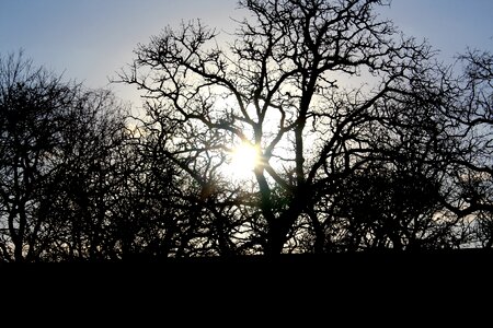 Landscape forest sky