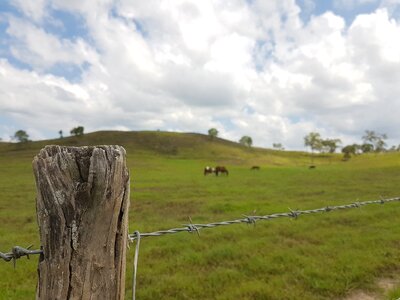 Outdoor landscape rural photo