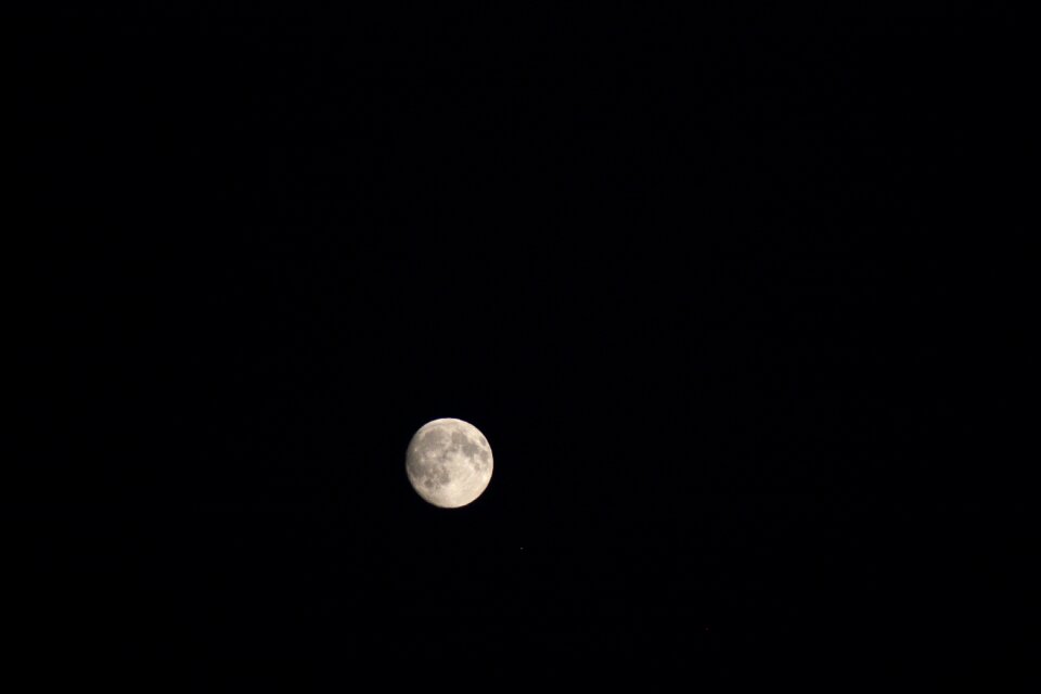 Moon night full moon