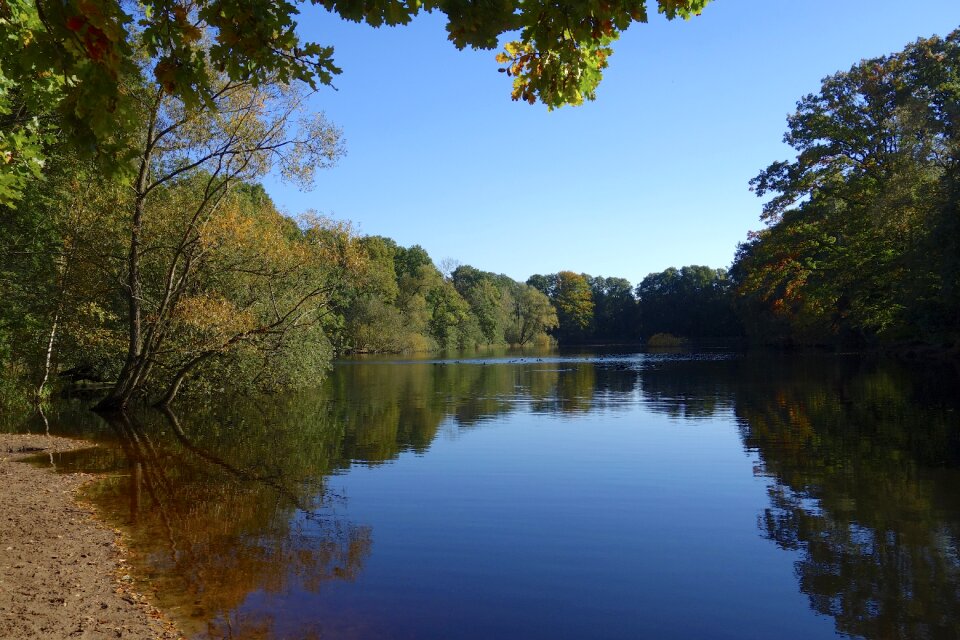 Landscape water trees