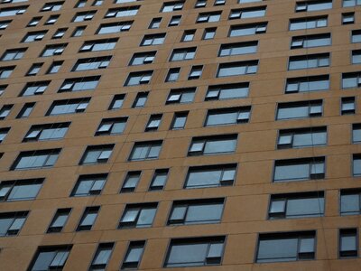 Building urban structure