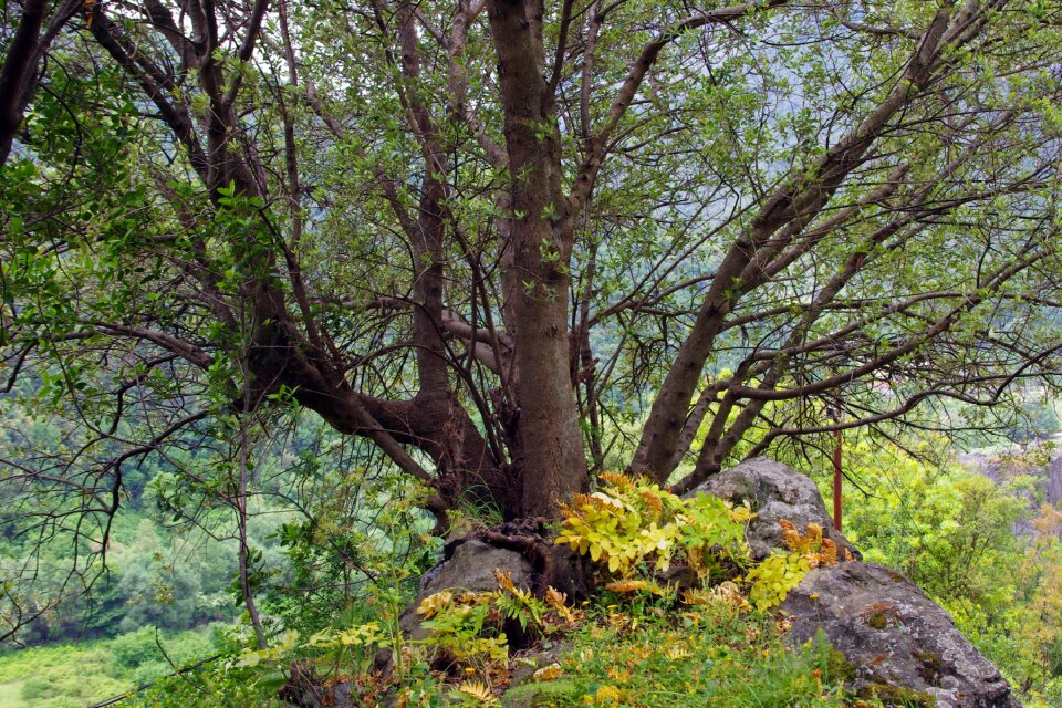 Autumn campaign nature