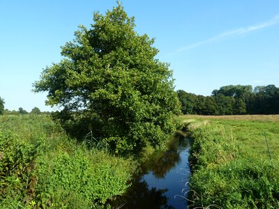 Flow nature landscape