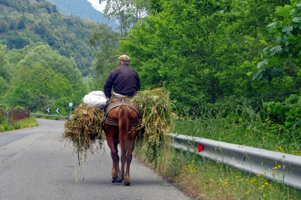 Panniers hay orsomarso mountains