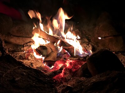 Campfire darkness birch
