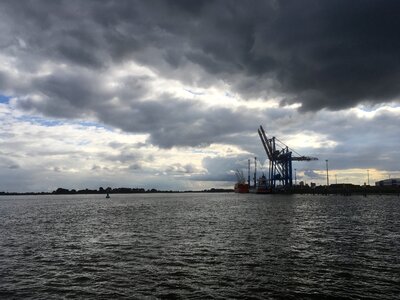 Cranes on the river weser water photo