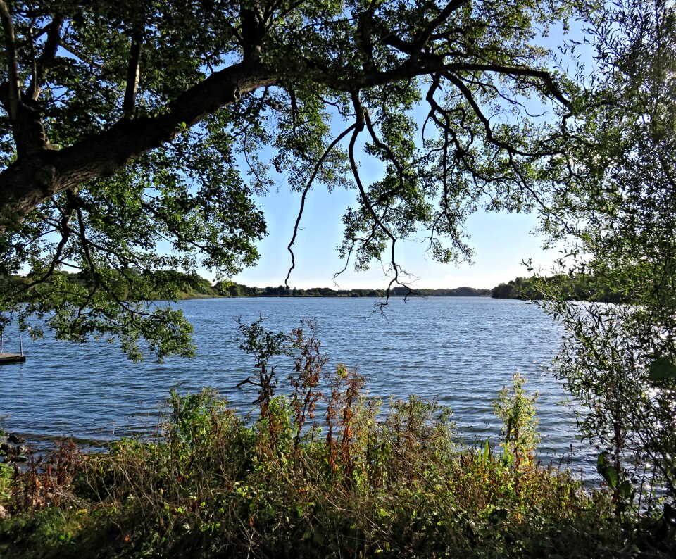 Island as a lake trail