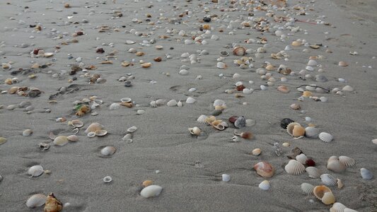 Beach gagal island