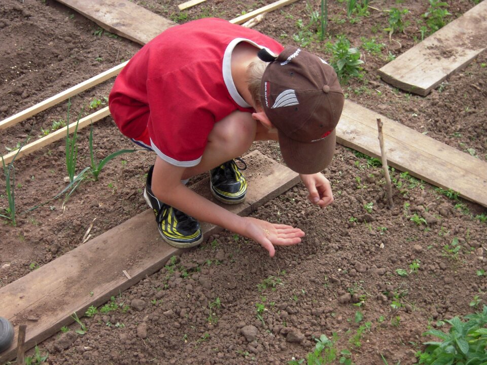 School garden sow students
