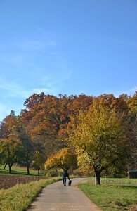 Away landscape autumn landscape