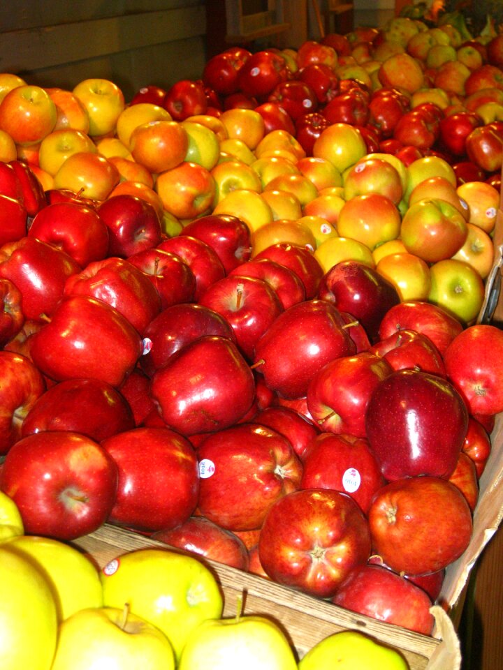 Food fruit autumn