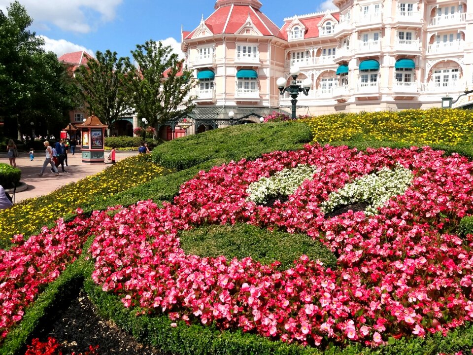 Disney view flowers