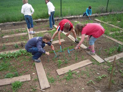 Harken weed school class
