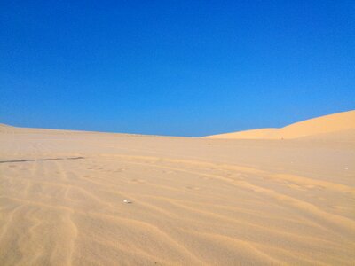 Camel dirt sand