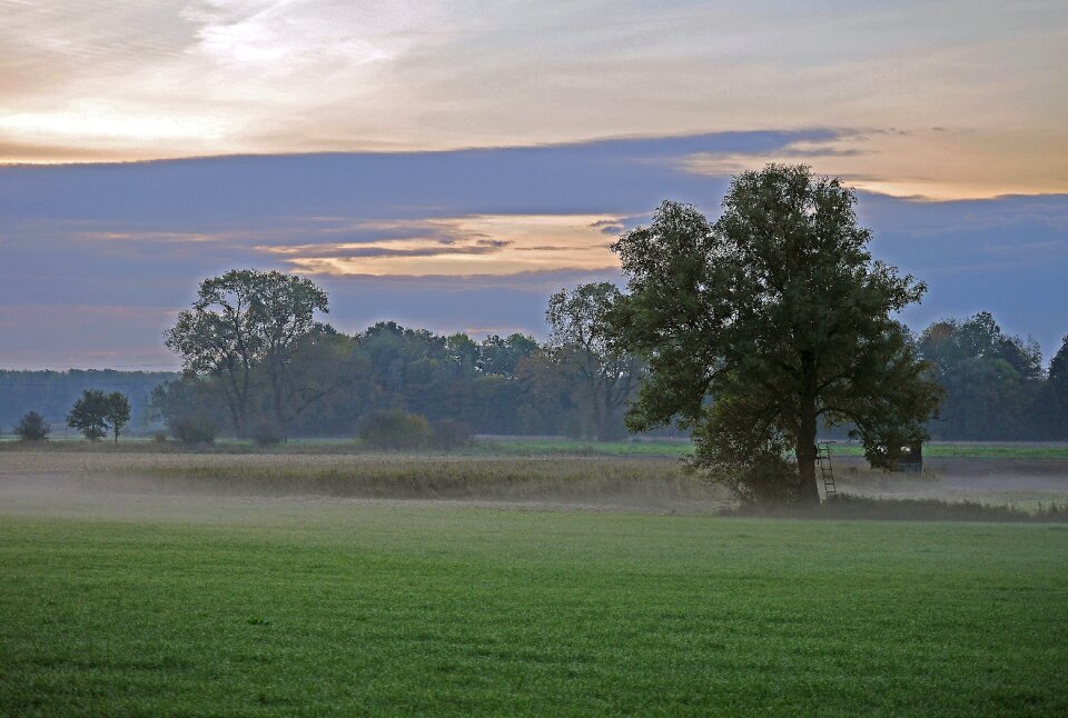 Autumn nature morgenstimmung