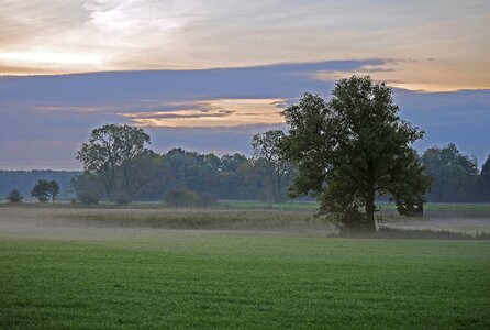 Autumn nature morgenstimmung photo