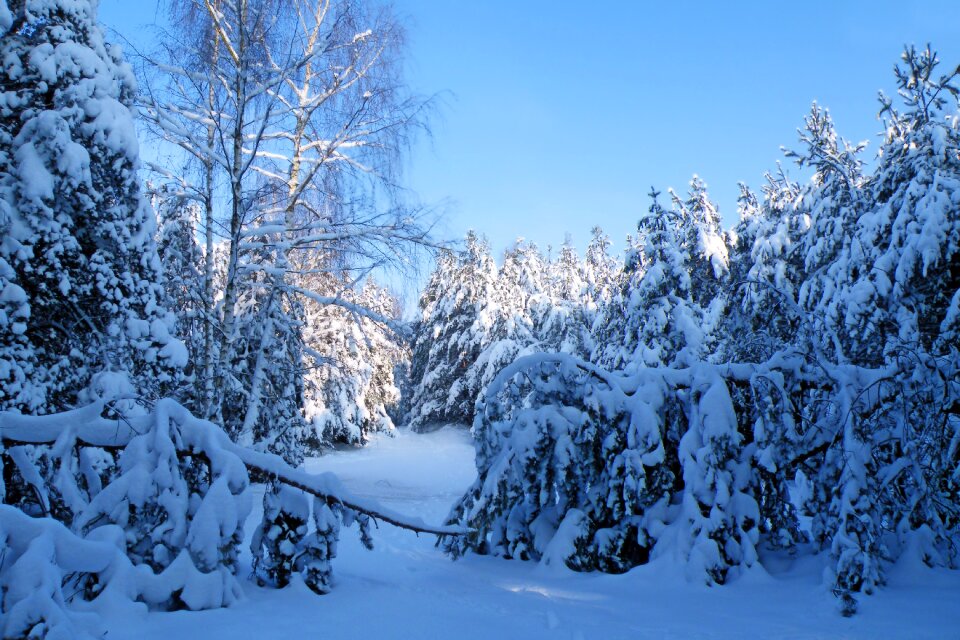 Cold winter winter magic