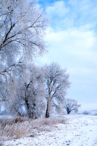 Cold winter winter magic photo