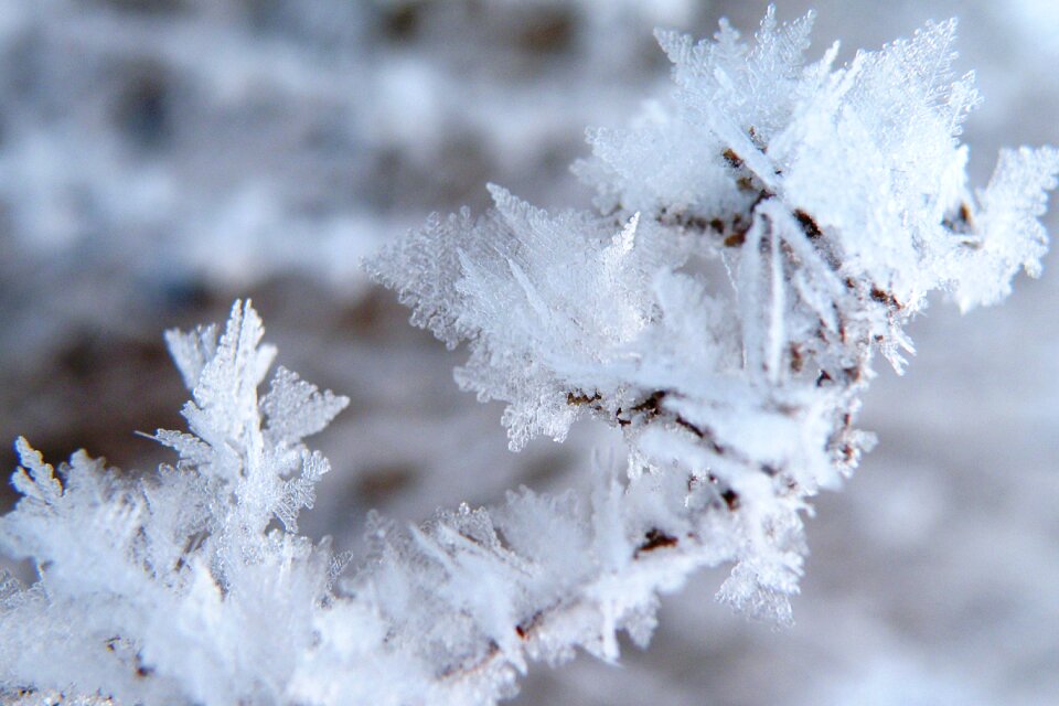 Cold winter winter magic