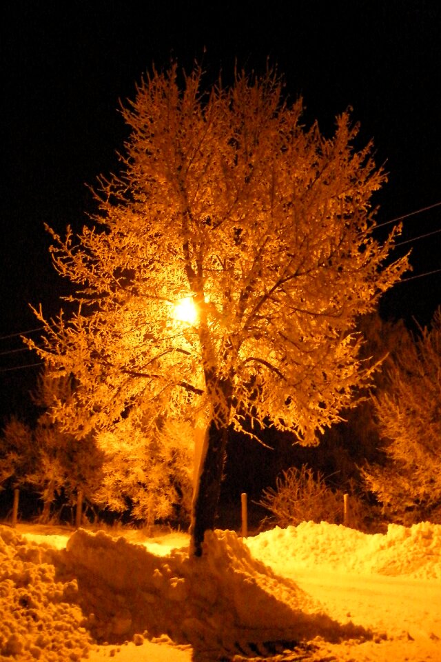 Cold winter winter magic