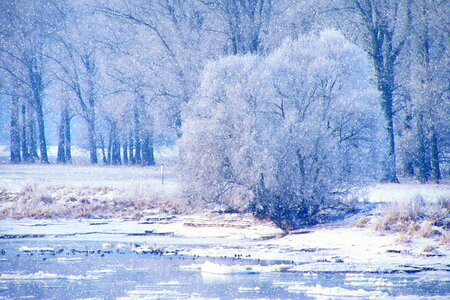 Cold winter winter magic photo